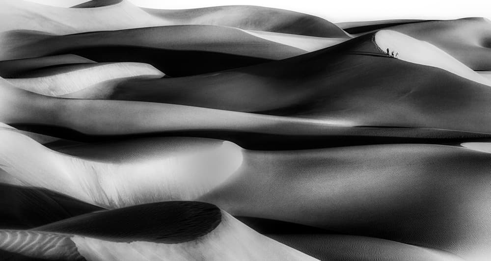 wavy by Babak Mehrafshar — canvas wall art