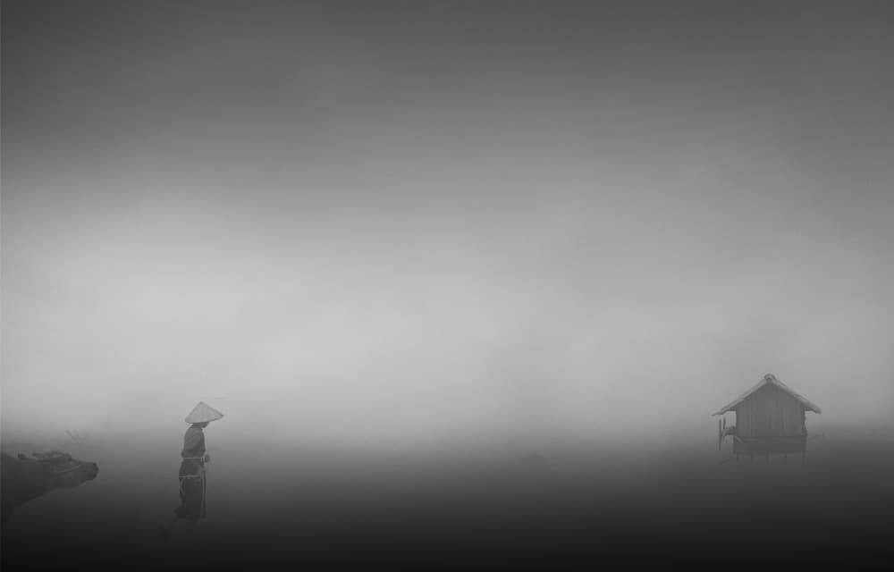 Misty Morning Solitude by Clas Gustafson PRO — canvas wall art
