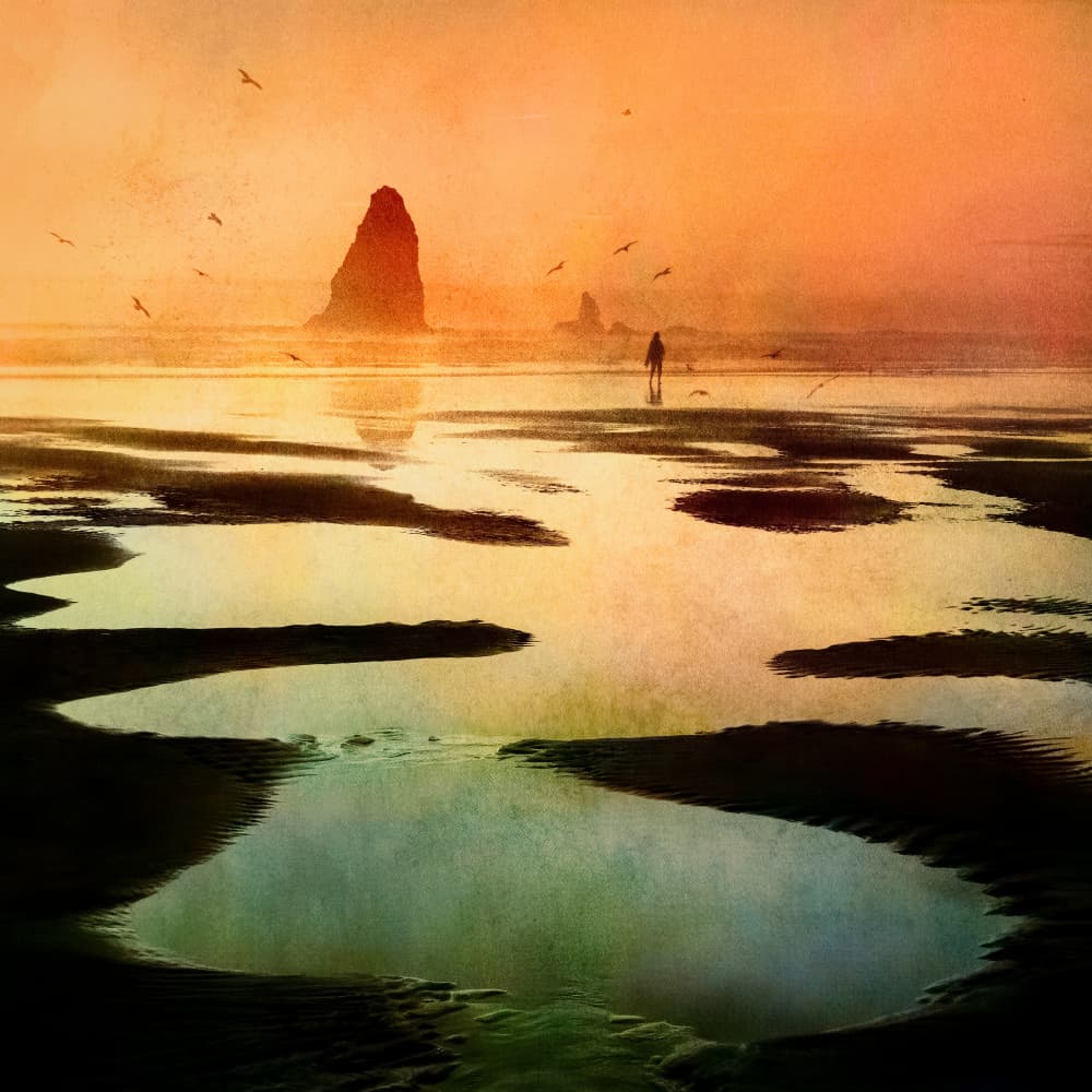 Solitary Sunset Beach by Shenshen Dou — canvas wall art
