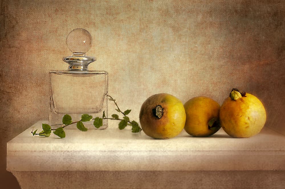 Vintage Guava Still Life by Elena Arjona — canvas wall art