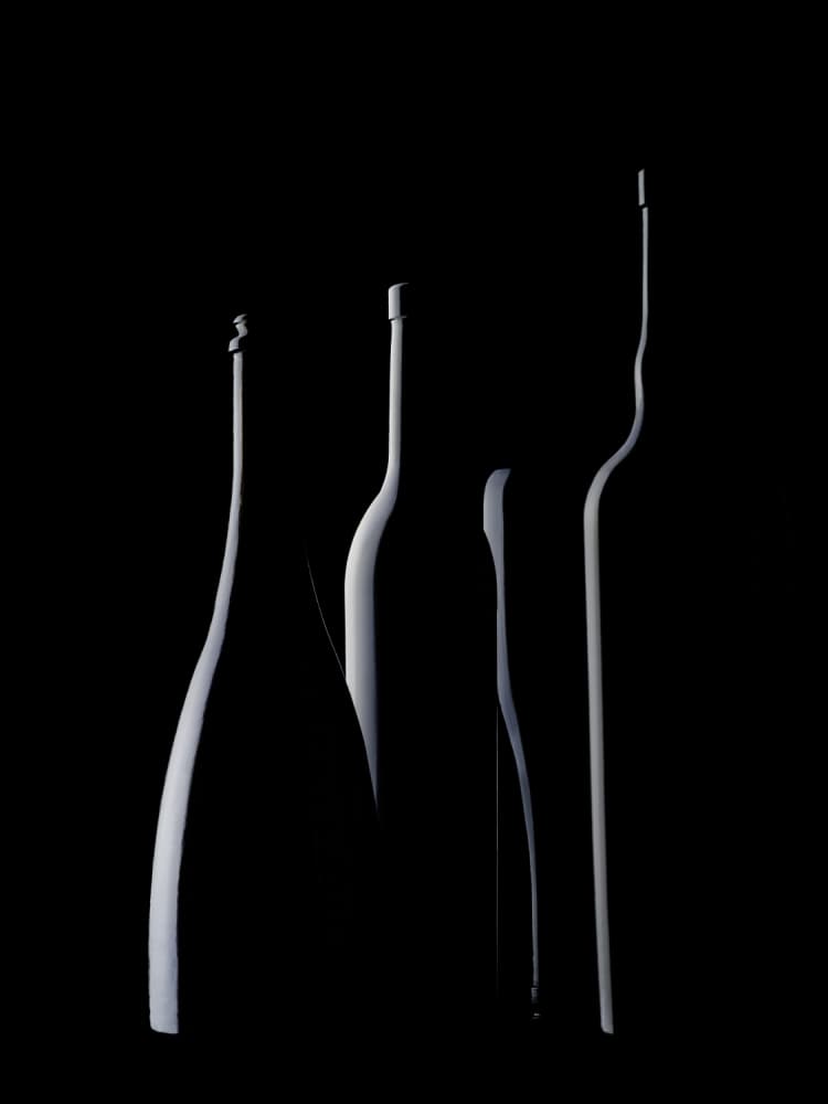 Elegant Bottle Silhouettes by Jorge Pena — canvas wall art