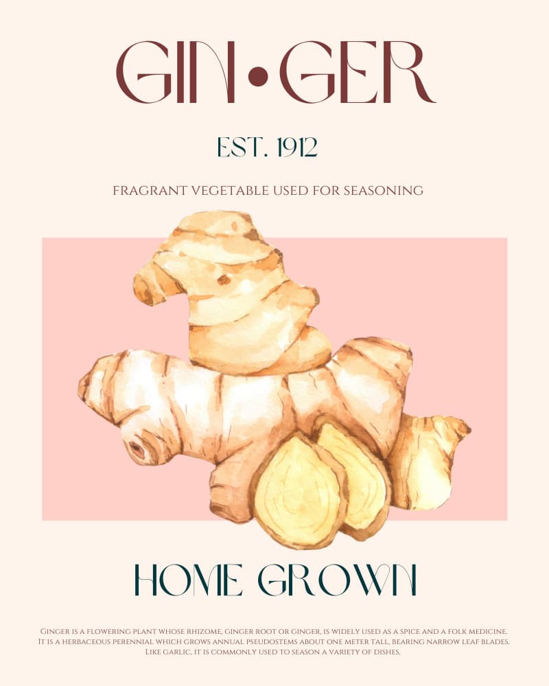 Home Grown Ginger by Nazma Khokhar — canvas wall art