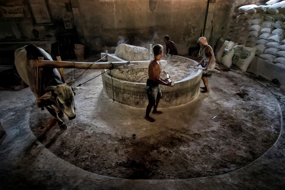 Ox Grinding Mill by Fauzan Maududdin — canvas wall art