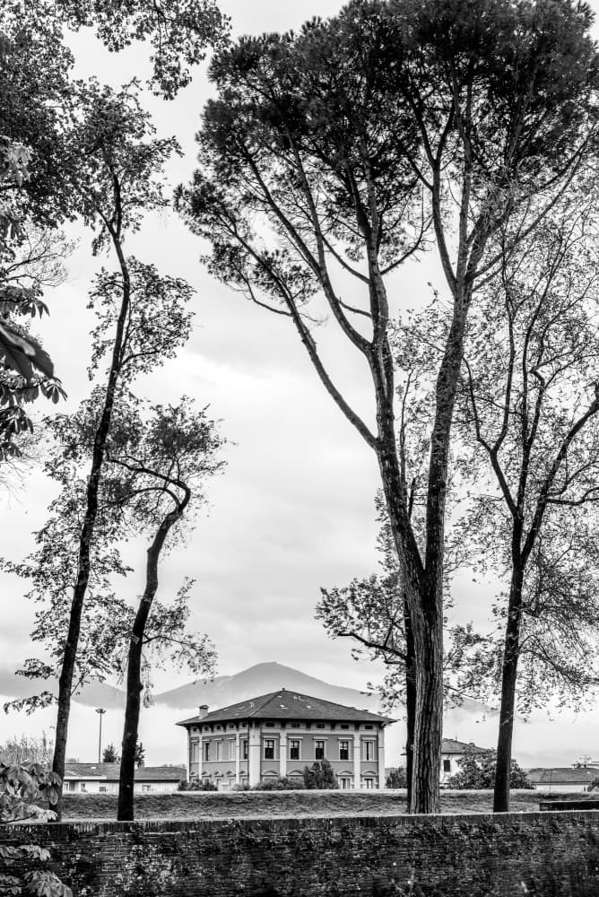 Stately Villa Among Trees by Photolovers — canvas wall art
