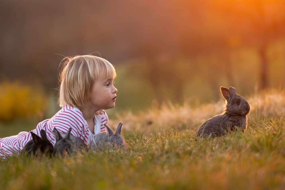 Child and Bunnies at Sunset by Joško Šimic — canvas wall art