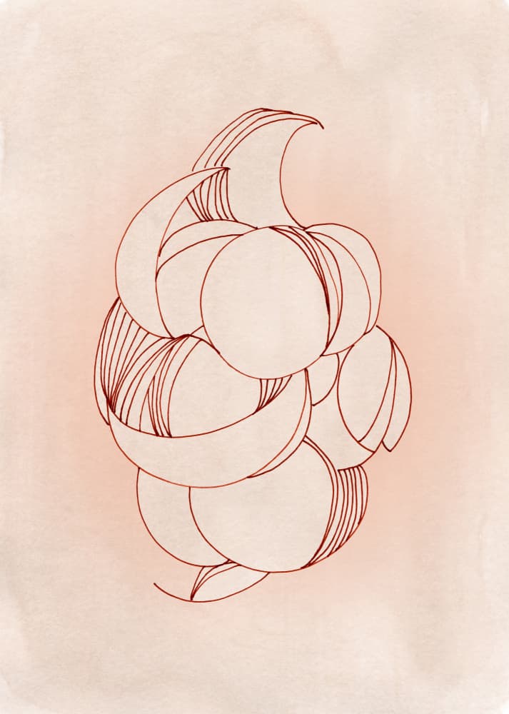 Soft Abstract Bloom by Jenja Braun — canvas wall art