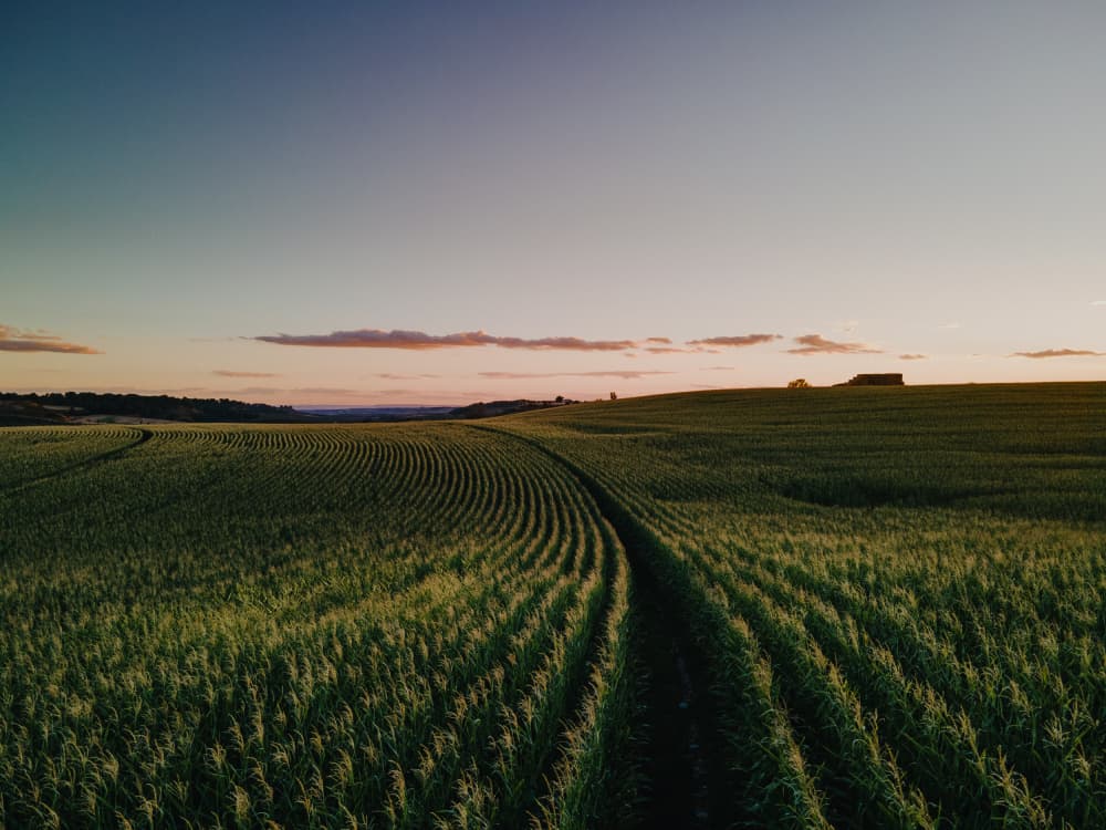 Curving Farm Field by Javier Pardina — canvas wall art
