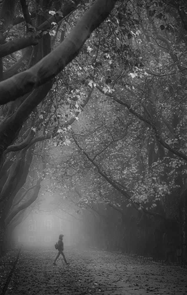 Solitary Figure Misty Path by Anna Niemiec — canvas wall art
