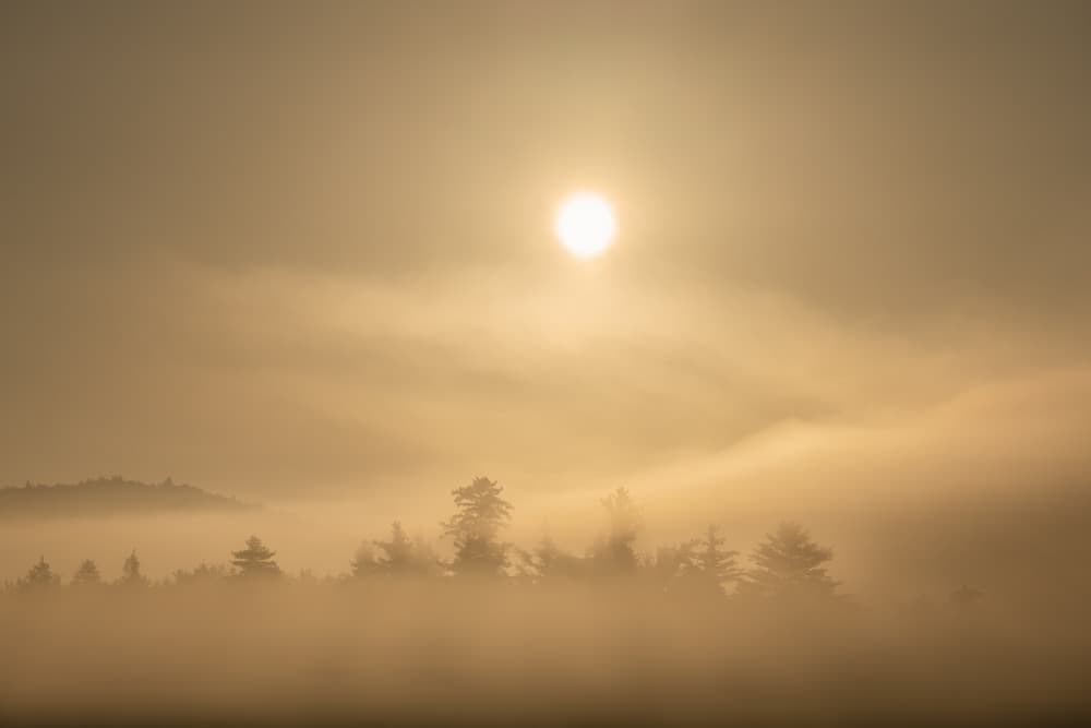 Misty Golden Sunrise by John Fan — canvas wall art