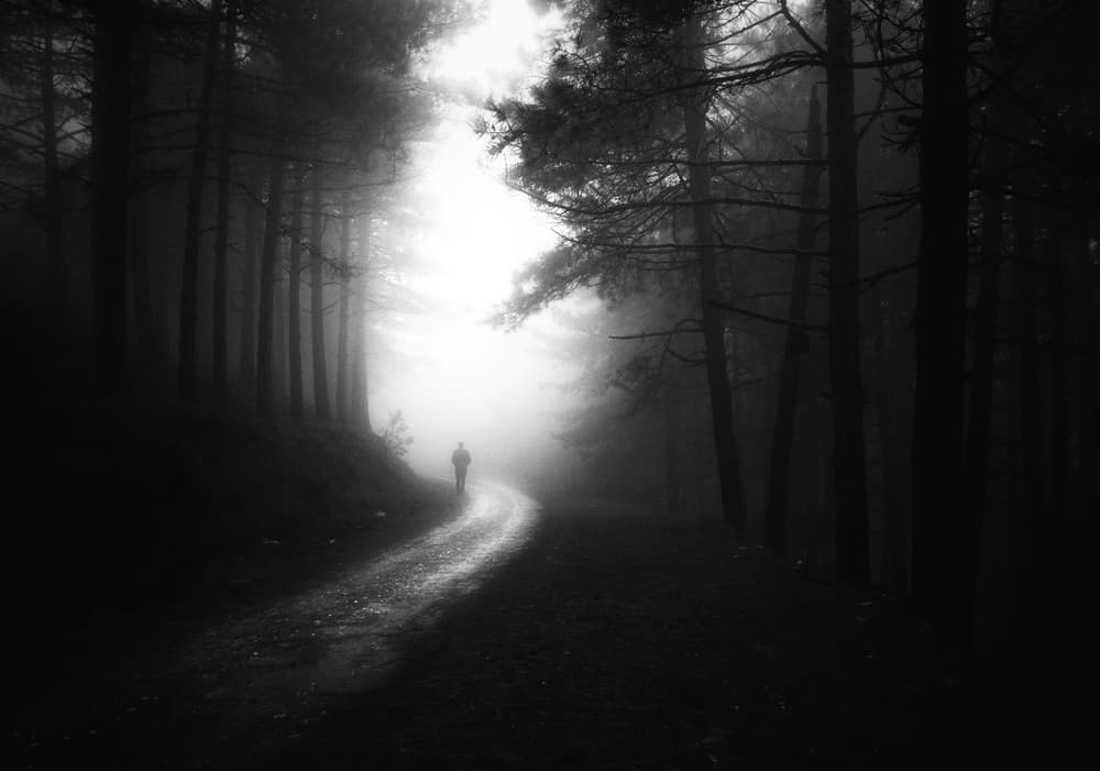 Misty Path Journey by Ali Ayer — canvas wall art