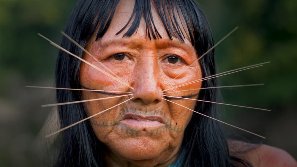 Indigenous Face Adornments by Peter Sticza — canvas wall art