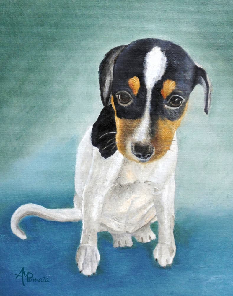 Tricolor Puppy Portrait by Angeles M. Pomata — canvas wall art