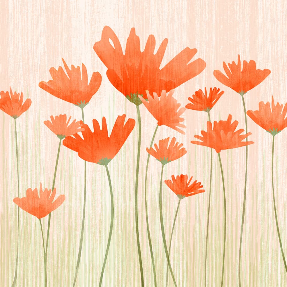 Red Poppy Meadow 2 by Kristian Gallagher — canvas wall art