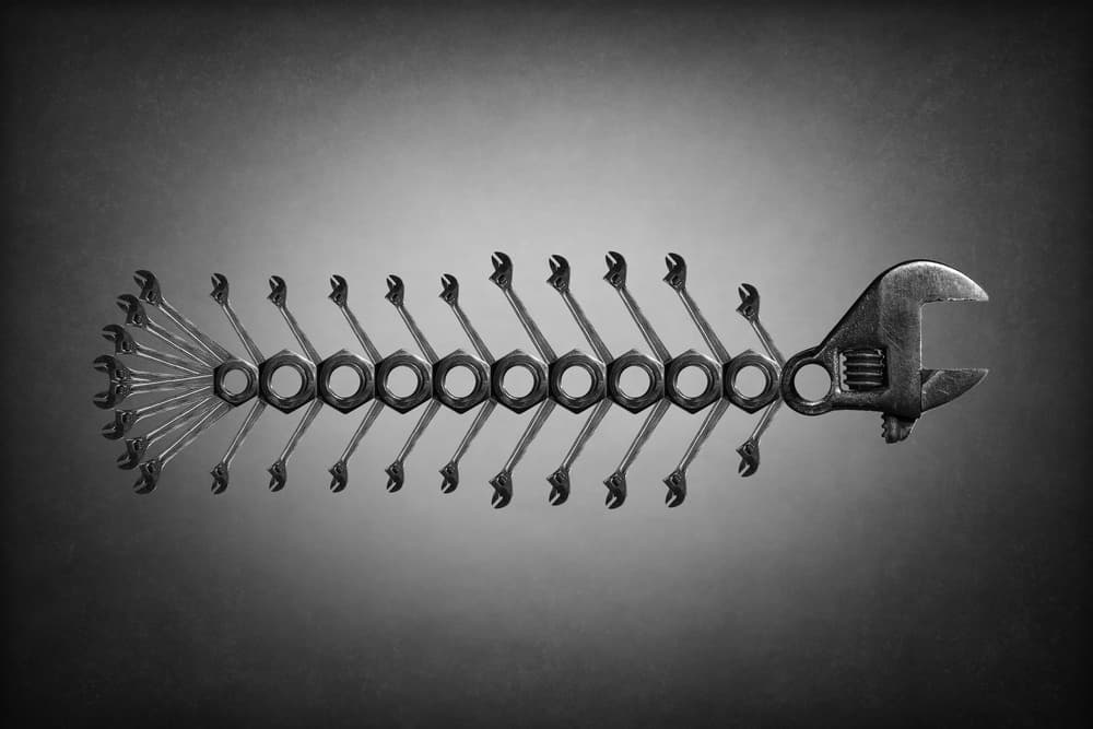 Wrench Fish Skeleton by Victoria Glinka — canvas wall art