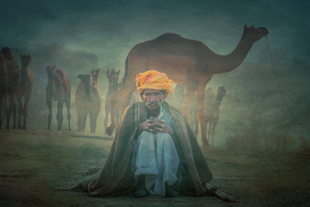 Man Camels Hazy Desert by Svetlin Yosifov — canvas wall art
