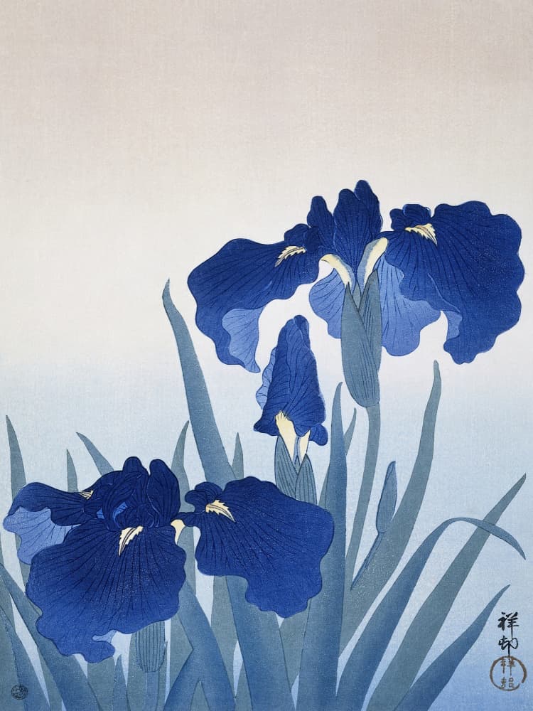 Iris Flowers by Ohara Koson — canvas wall art