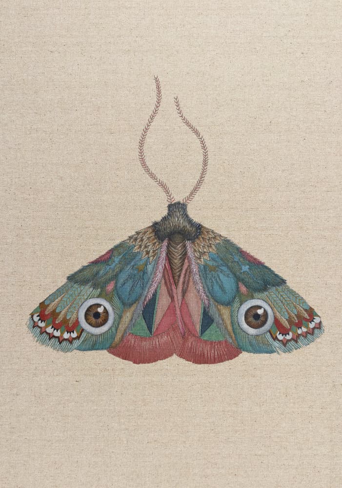 Vivid Moth Eyes by ZAM.ROD — canvas wall art