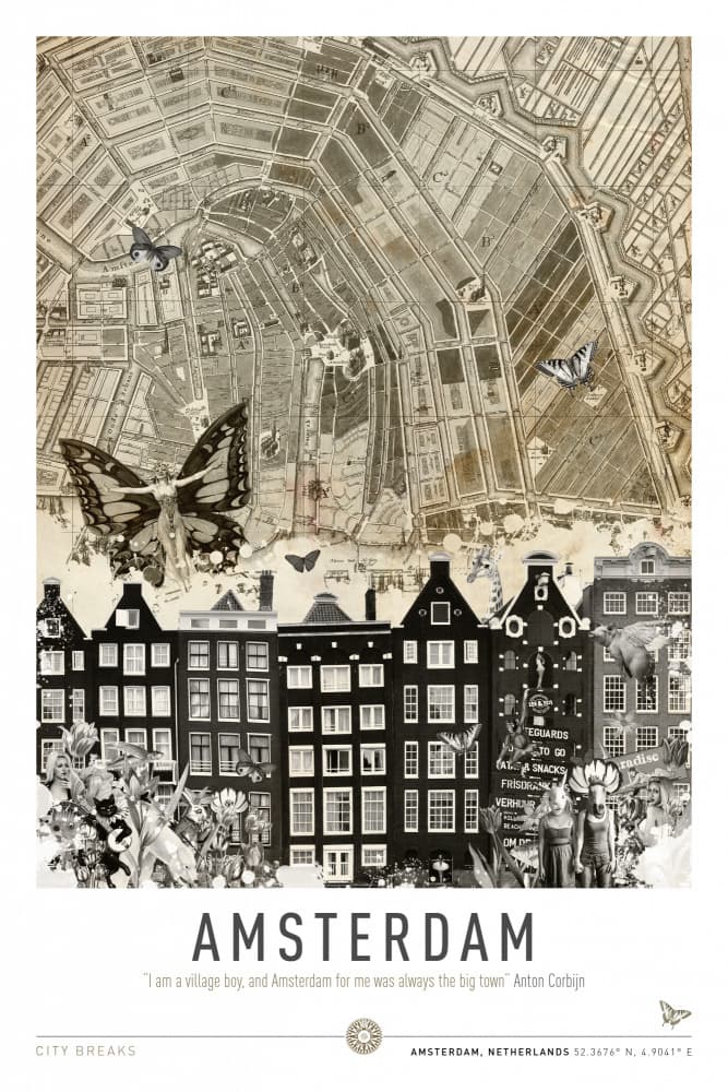 Historic Amsterdam Butterflies by Simon Goggin — canvas wall art