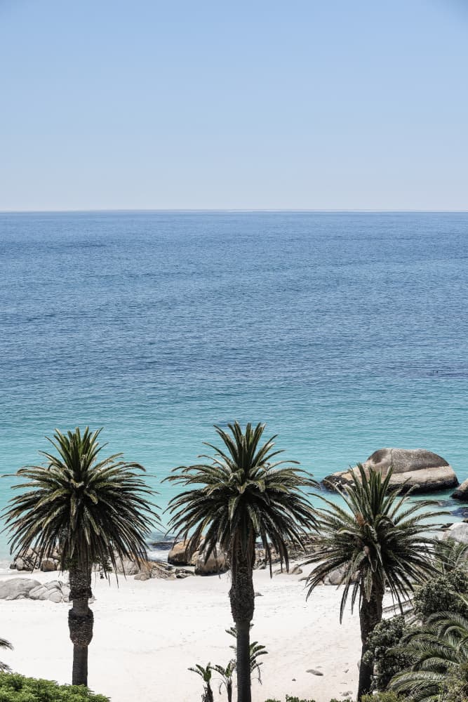 Tropical Serenity by Shot by Clint — canvas wall art