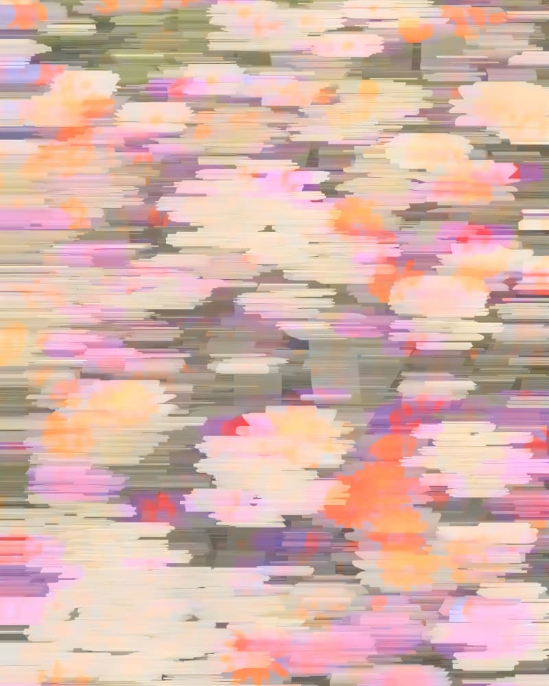 Soft Abstract Florals by Uma Gokhale — canvas wall art