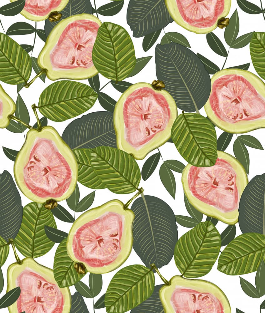 Tropical Guava Pattern by Uma Gokhale — canvas wall art