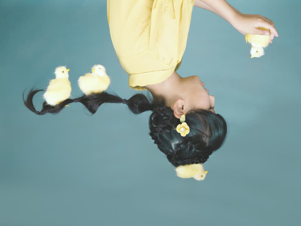Upside Down Chick Play by Takako Ugachi — canvas wall art