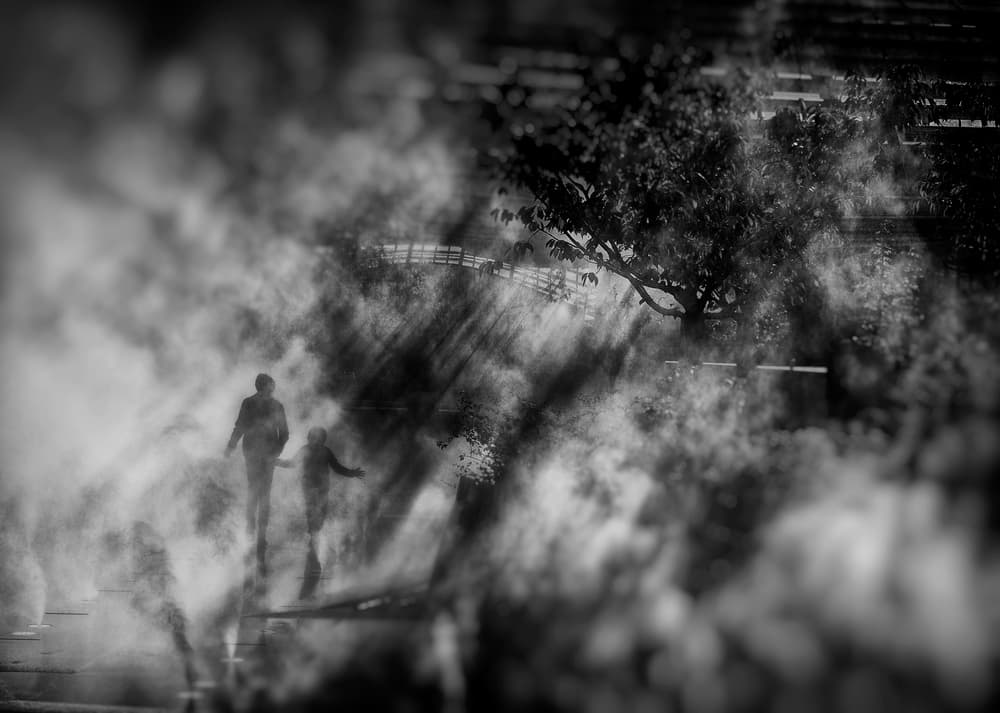 Misty Path Walk by Eric Drigny — canvas wall art