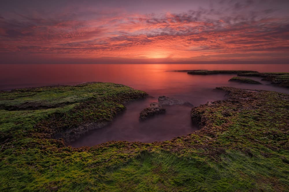 Red Sky Green Shore by Doroteo Tobarra Narro — canvas wall art