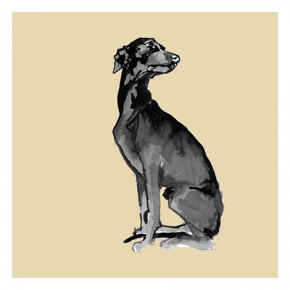 Elegant Black Dog by cartissi — canvas wall art