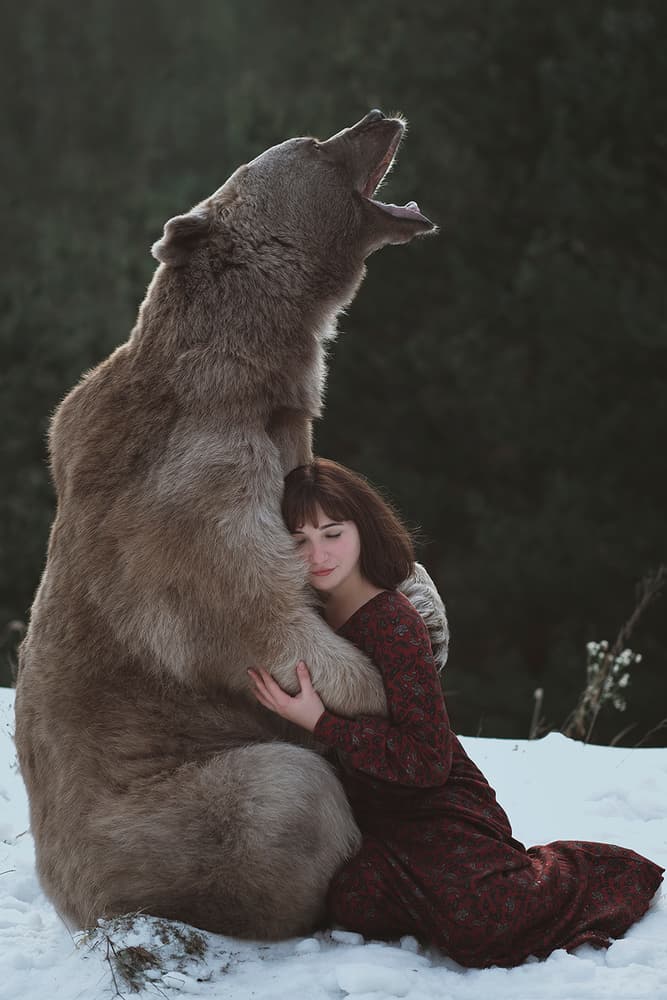 Winter Bear Embrace by Olga Barantseva — canvas wall art