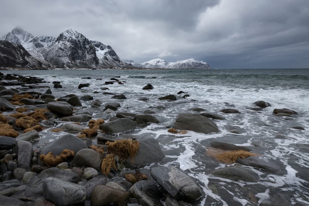 Rugged Winter Coastline by Alfred Forns — canvas wall art