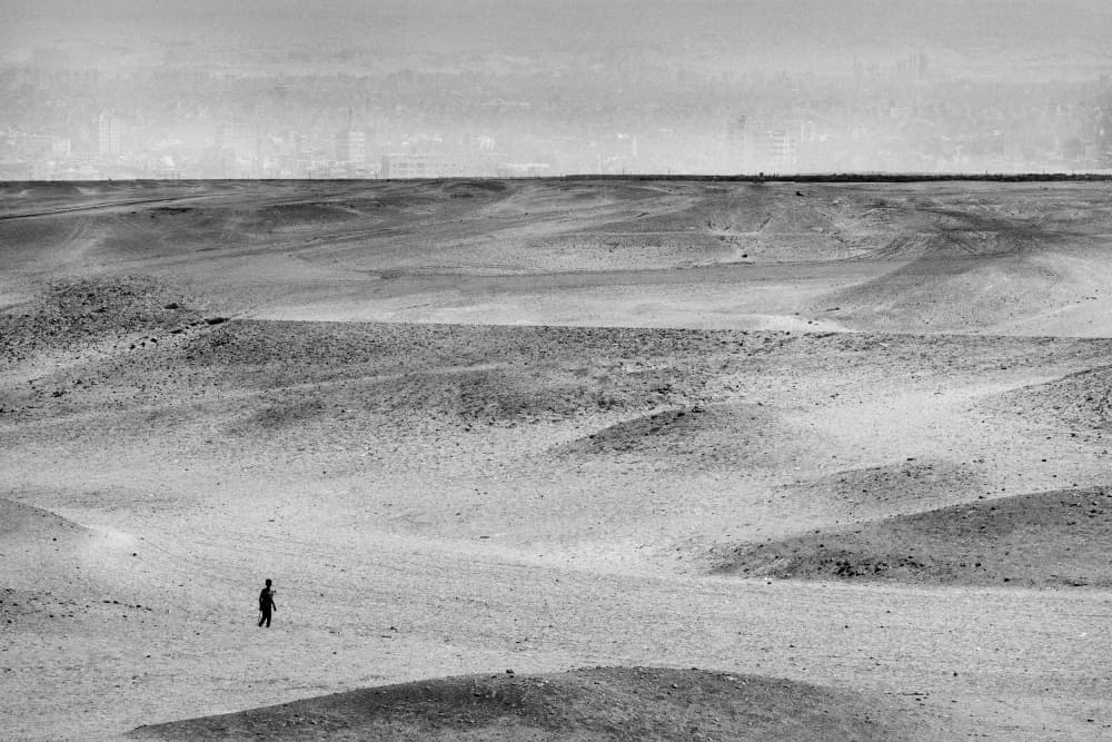 Solitary Desert Wanderer by Marius Cinteza — canvas wall art