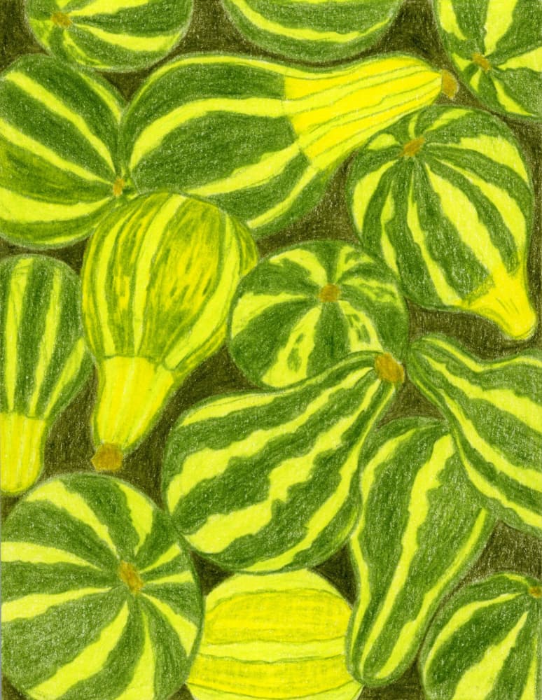 Vibrant Striped Gourds by Viktoriia Saunina — canvas wall art