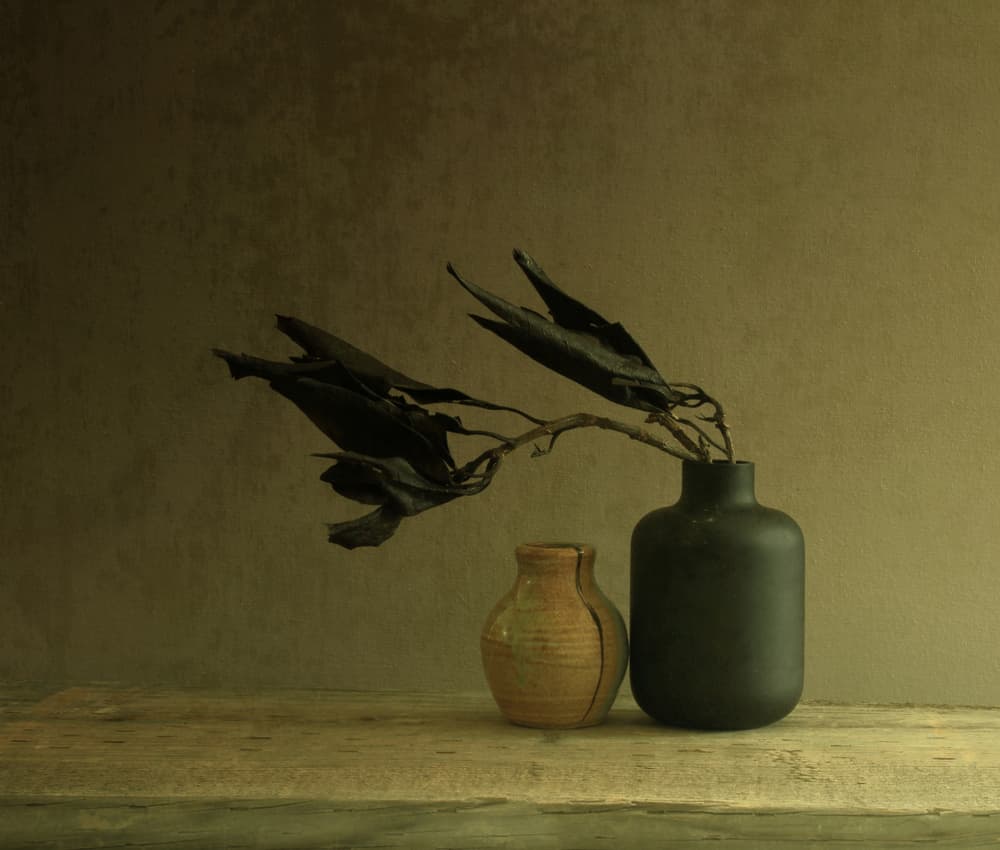 Minimalist Leaves Still Life by Margaret Halaby — canvas wall art
