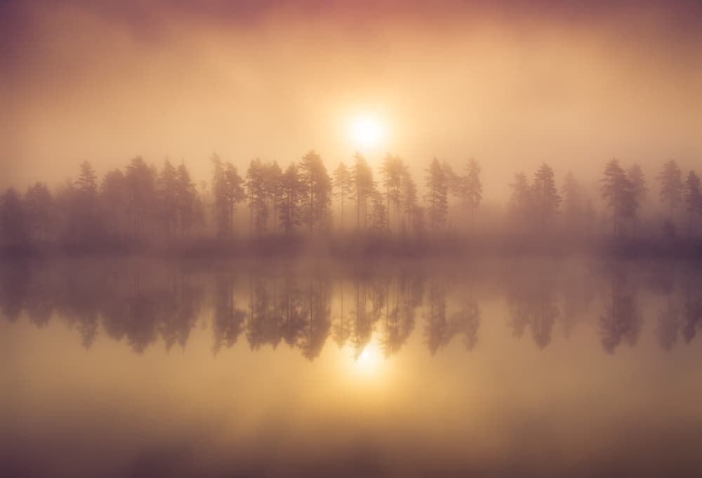 Golden Lake Reflection by Andreas Christensen — canvas wall art