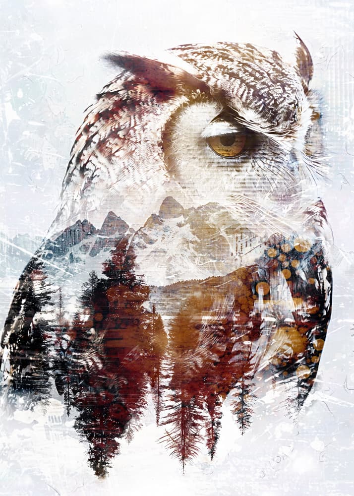 Majestic Winter Owl by Rafal Kulik — canvas wall art