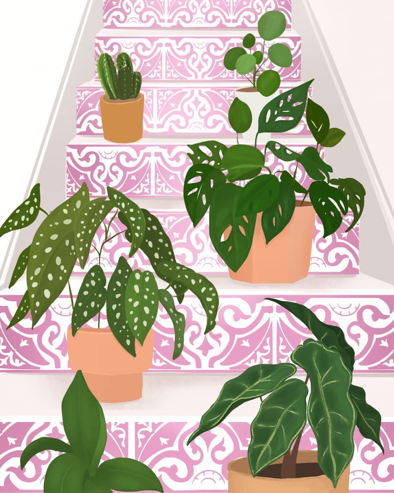 Plants by Petra Lizde — canvas wall art