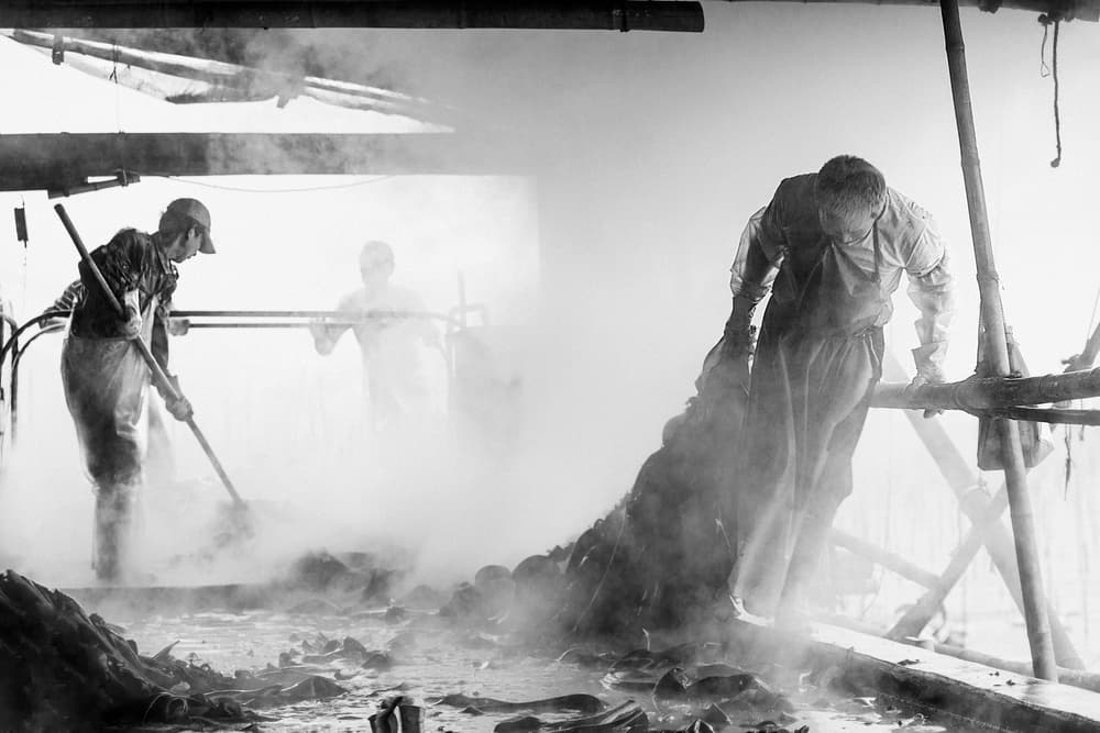Steamy Factory Work by Joe B N Leung — canvas wall art