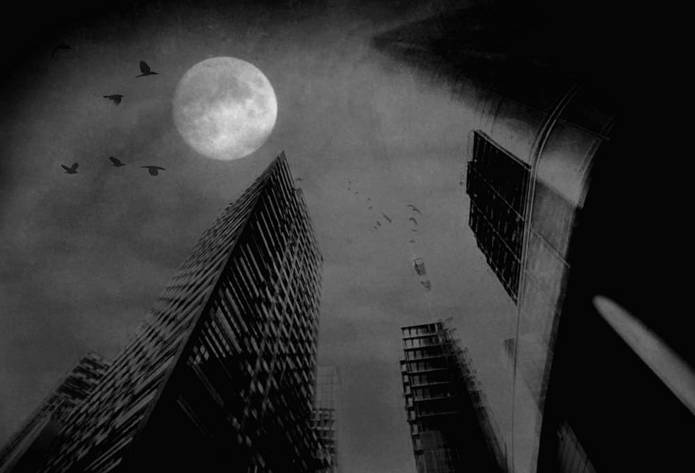 Moonlit Cityscape Birds by Robert Fabrowski — canvas wall art