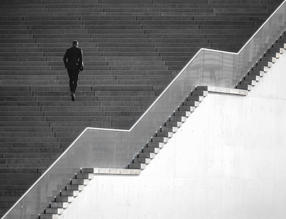 Upward Journey by Anna Niemiec — canvas wall art