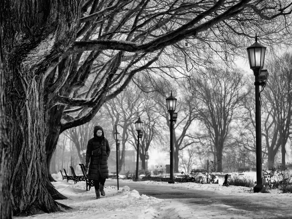 Winter Park Walk by Michel Groleau — canvas wall art