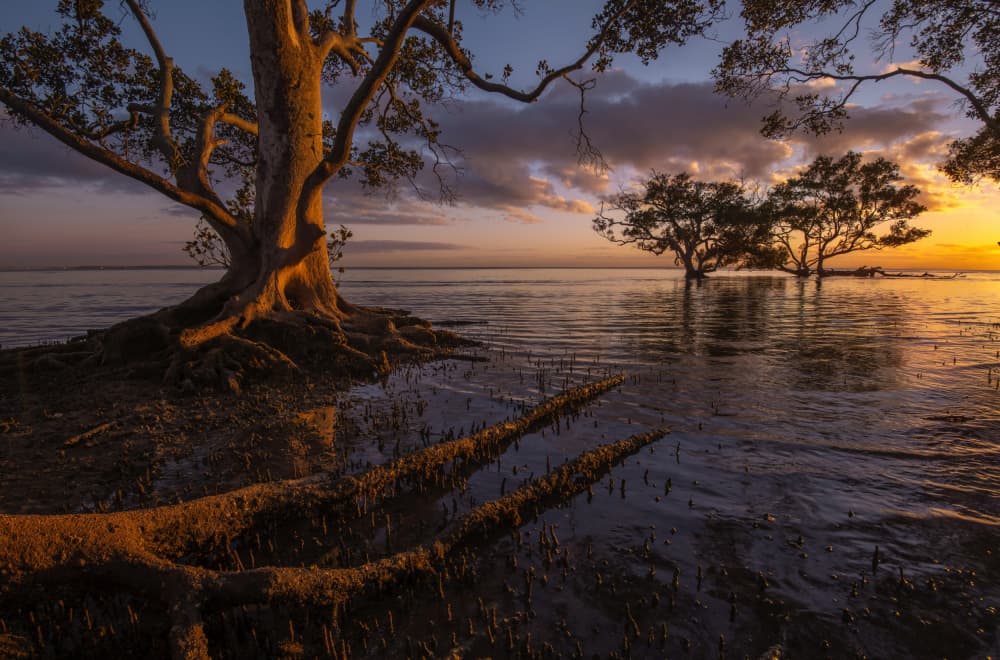 Tranquil Coastal Sunset by Emanuel Papamanolis — canvas wall art