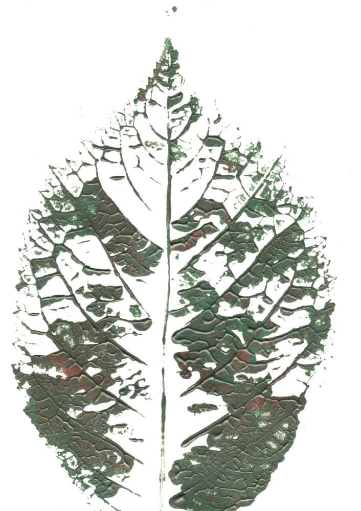 Textured Green Leaf by Maira Ribena — canvas wall art