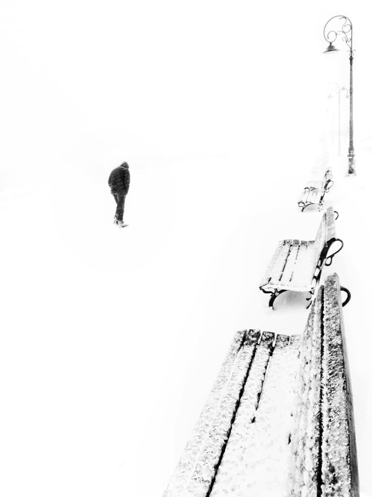 Solitary Winter Walk by Emilian Avramescu — canvas wall art