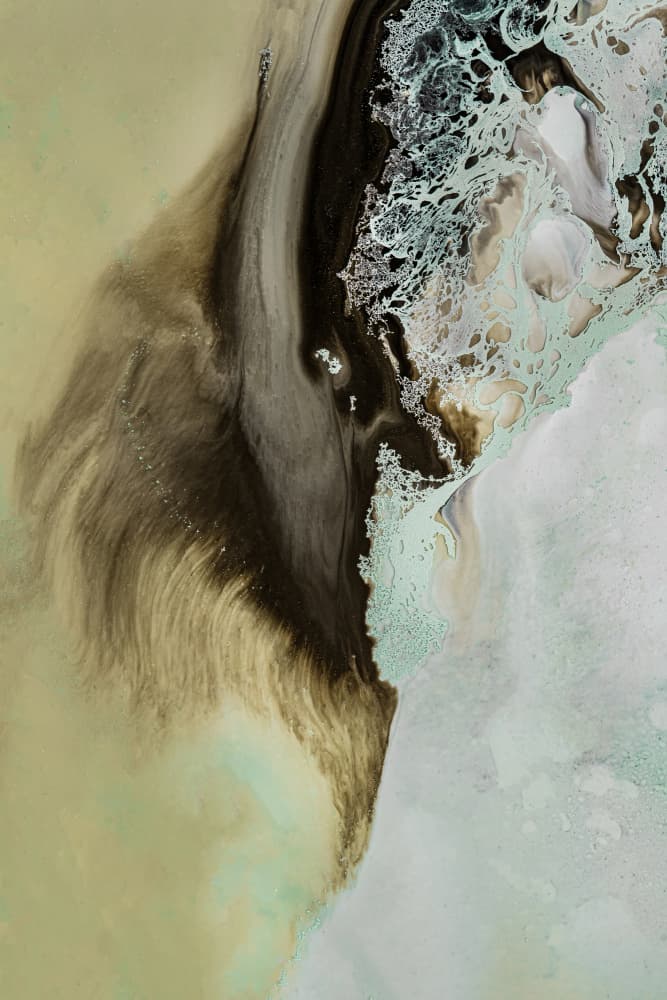 Earthly Motion 1upscaled Cgi 13287w by Petra Meikle de Vlas — canvas wall art