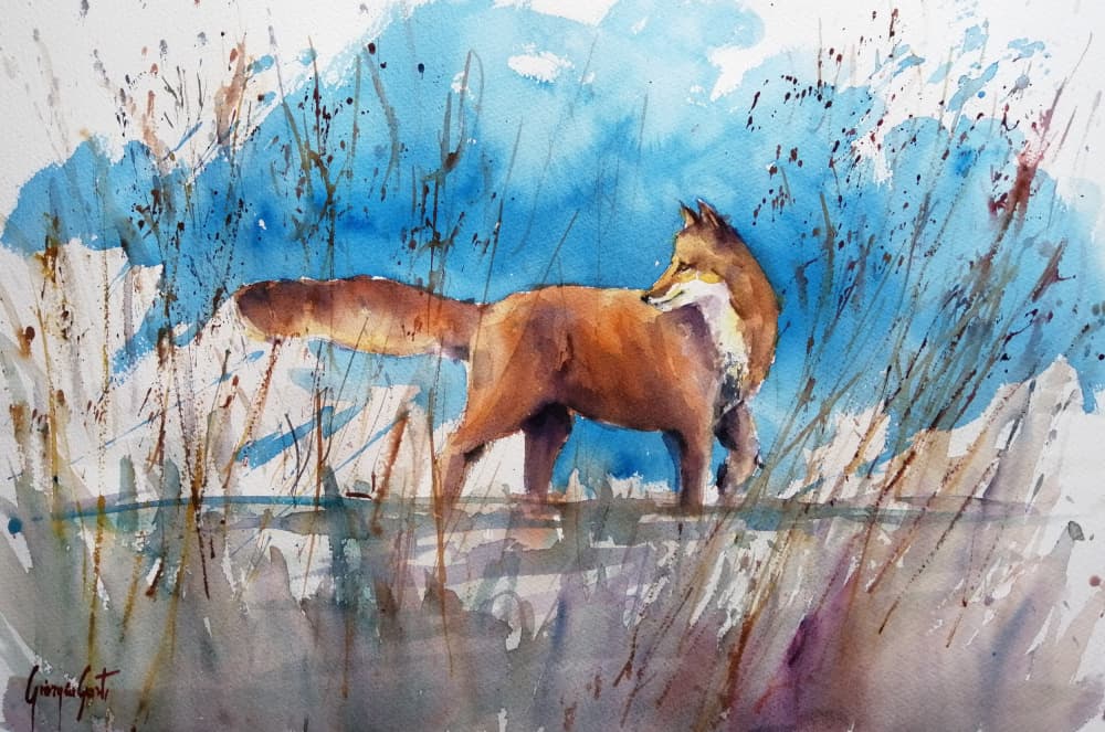 Alert Fox in Reeds by Giorgio Gosti — canvas wall art