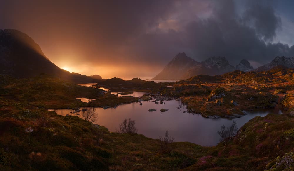Golden Hour Wilderness by INIGO CIA — canvas wall art