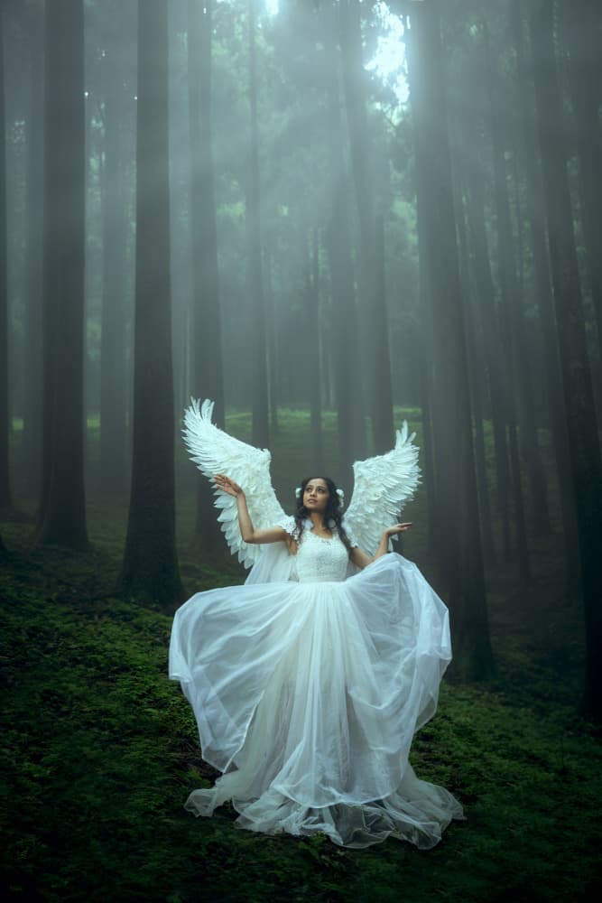 Misty Forest Angel by Prithul Das — canvas wall art