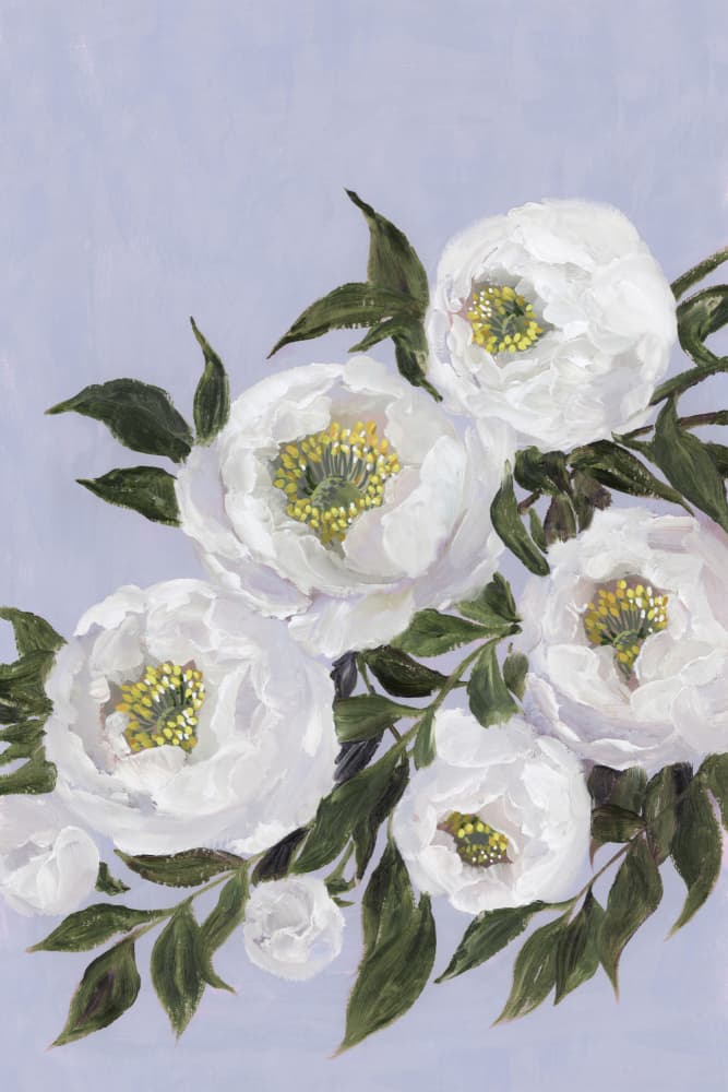 White Peonies on Lavender by Rosana Laiz Blursbyai — canvas wall art