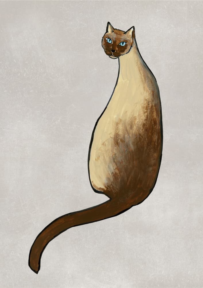 Graceful Siamese Cat by Rosana Laiz Blursbyai — canvas wall art